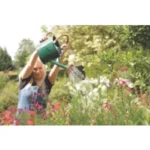 SPEAR & JACKSON WATERING CAN 4.5LTR - Image 2